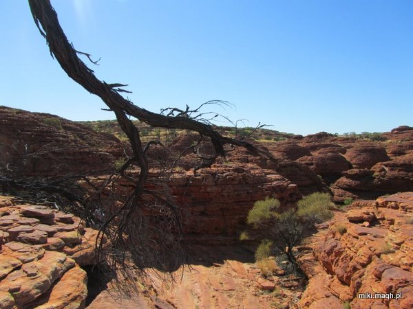 King's Canyon