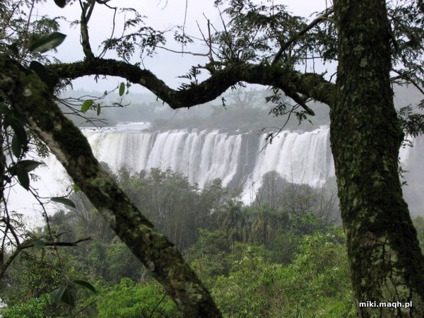 Wodospady Iguazu