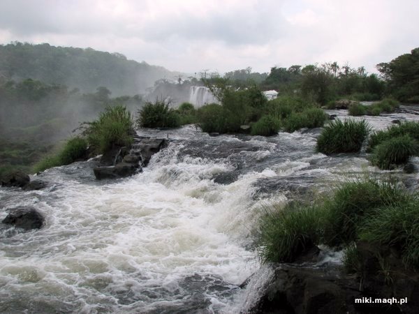 Wodospady Iguazu