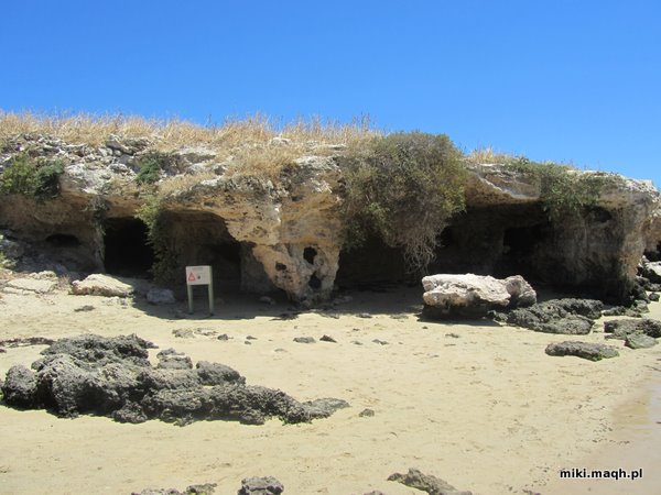 Sea kayaking to Penguin Island