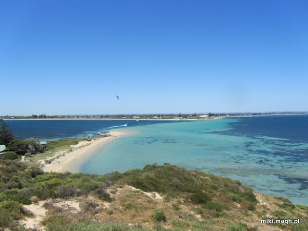 Sea kayaking to Penguin Island