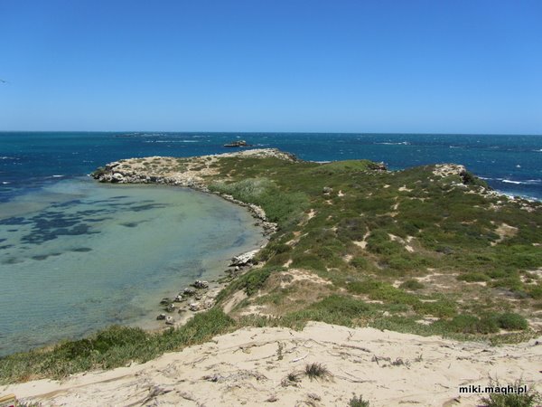 Sea kayaking to Penguin Island