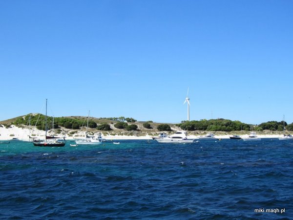 Rottnest Island