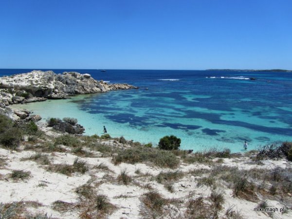 Rottnest Island