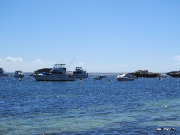 Rottnest Island