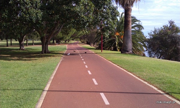 Autumn cycling around Perth