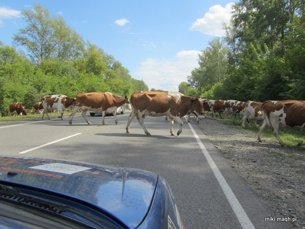 Mongol Rally 2011